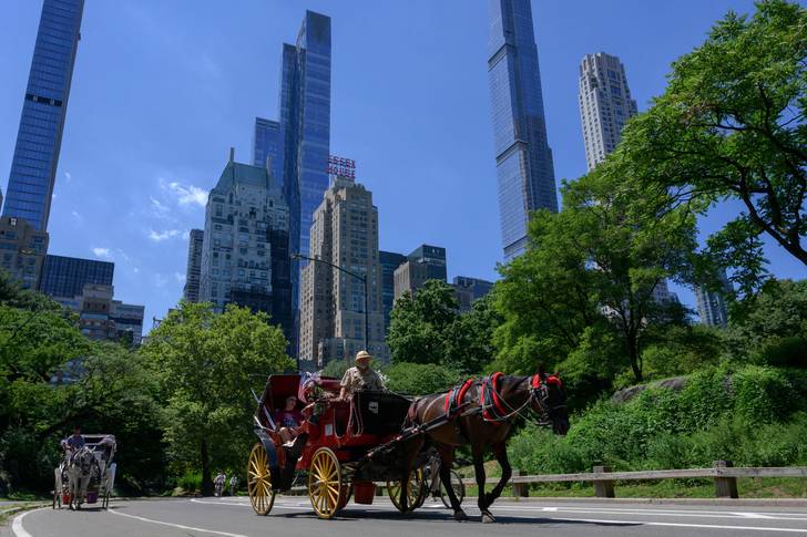 Horse-drawn carriages with customers ride through Central Park on a hot day on August 3rd, 2022.